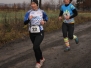 Běh 17. listopadu 2015