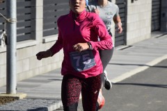 DSC3151
