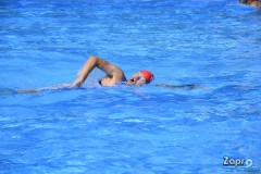 DSC0598