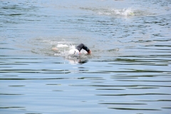 IMG_2296