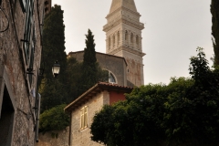 DSC_111