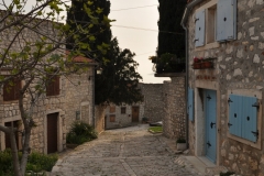DSC_112