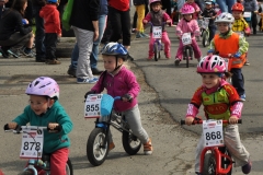 Mamut_deti2014-018