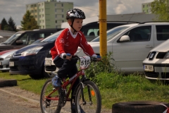 Mamut_deti2014-121