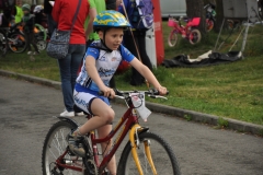Mamut_deti2014-129