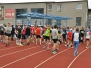 hanackypulmaraton2012