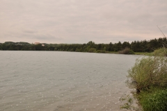 DSC_0062