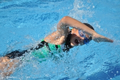 Kralovsky_tt_2013-deti.328
