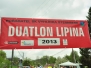 lipina2013