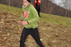 2014Listoprdak_012