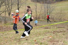 2014Listoprdak_029