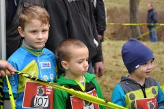 2014Listoprdak_107