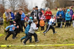 2014Listoprdak_137