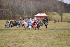 2014Listoprdak_217
