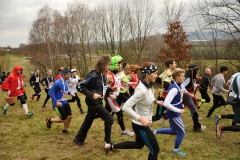 2014Listoprdak_223