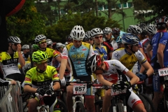 Mamut2014-051