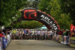 Mamut2014-052