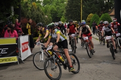 Mamut2014-098