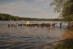 2014_Pilman-006