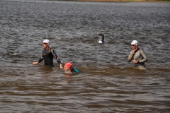 2014_Pilman-028