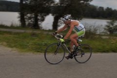 2014_Pilman-107