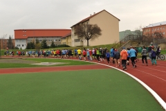 2014beh17listopadu_021