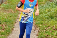2014beh17listopadu_137