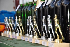 DSC_0543