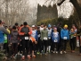 silvestrbeh2013